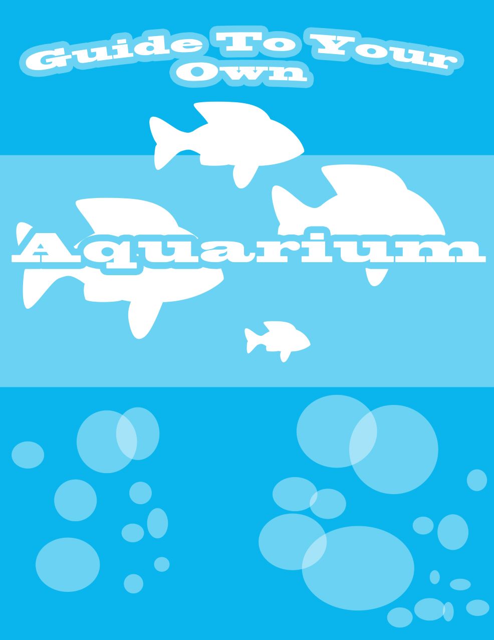 Guide To Your Own Aquarium